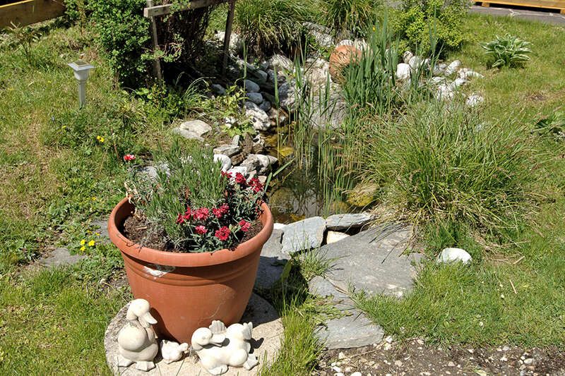 Teich im Garten in Haus Alice